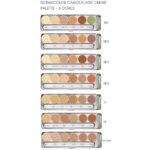 Paleta Dermacolor Kryolan 6 CORES